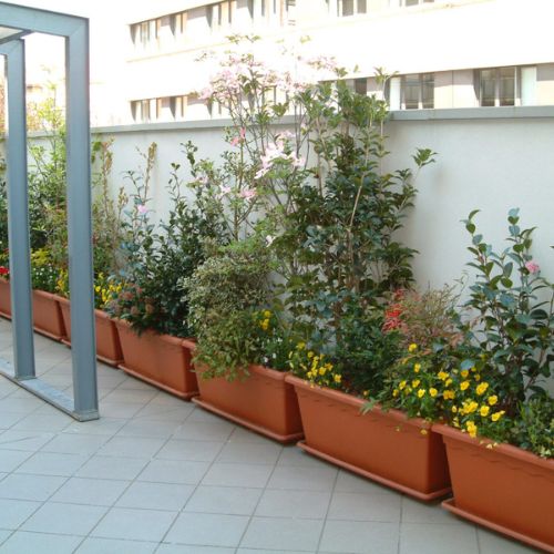 giardiniere-professionale-bergamo-esperto