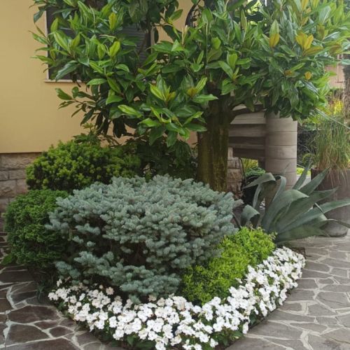 manutenzione-programmata-green-garden