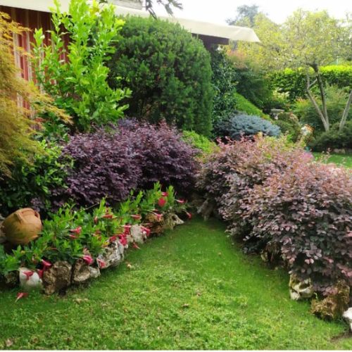 servizio-professionale-verde-bergamo